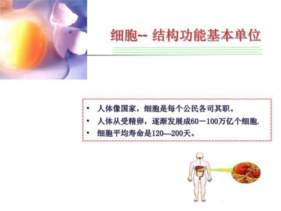 最新医学病理知识ppt课件_第3页