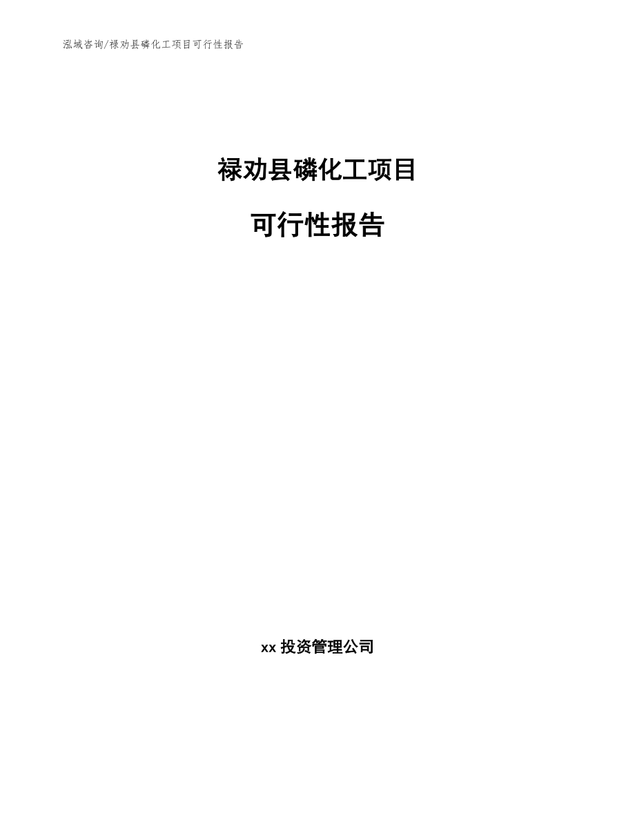 禄劝县磷化工项目可行性报告_范文模板_第1页