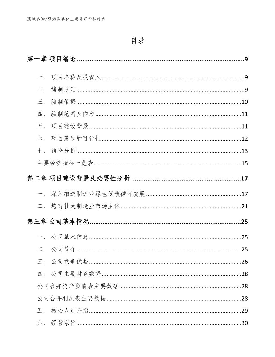 禄劝县磷化工项目可行性报告_范文模板_第3页