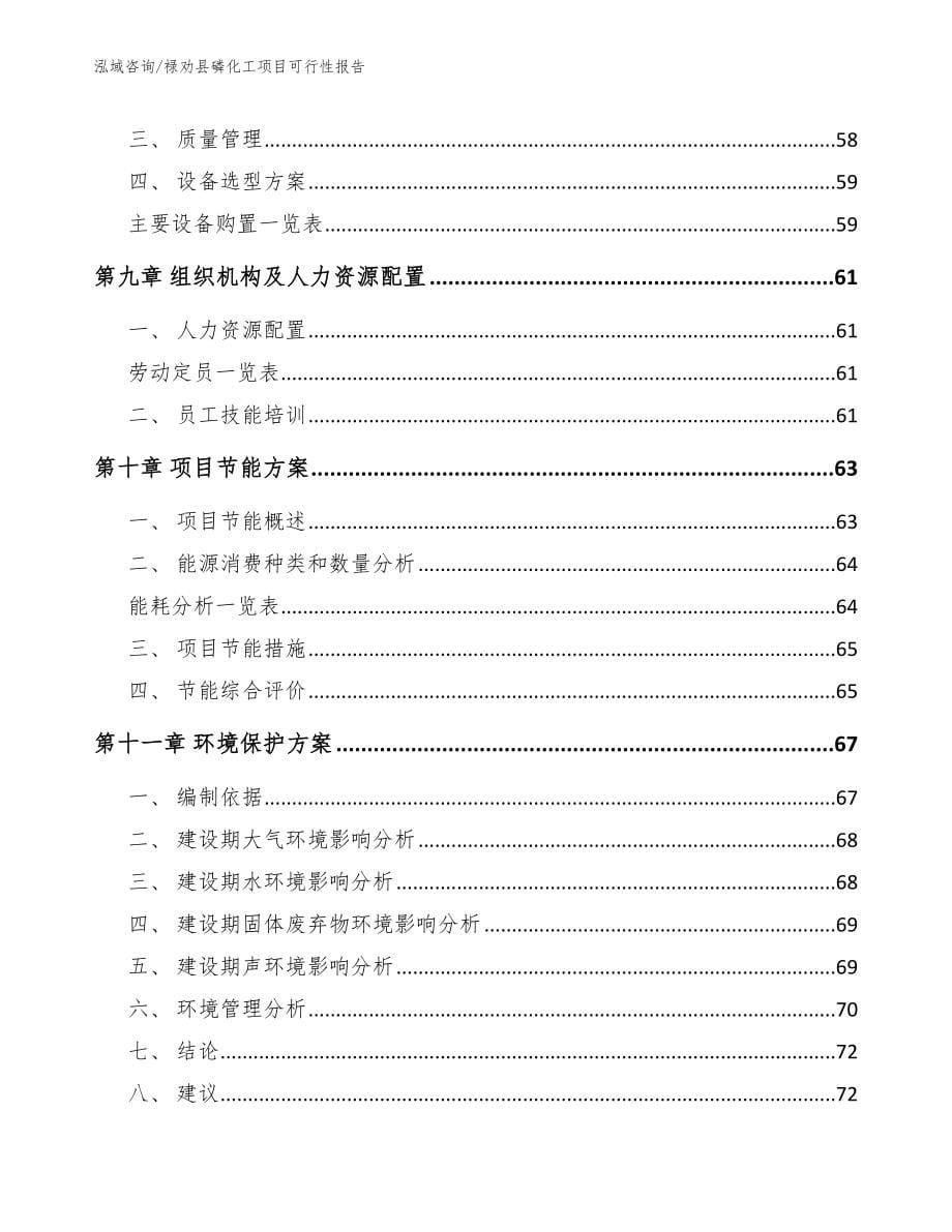 禄劝县磷化工项目可行性报告_范文模板_第5页