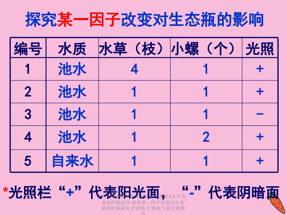 最新八年级生物下册第5章生态系统5.3生态系统的稳定性探究某一因子改变对生态瓶的影响_第4页