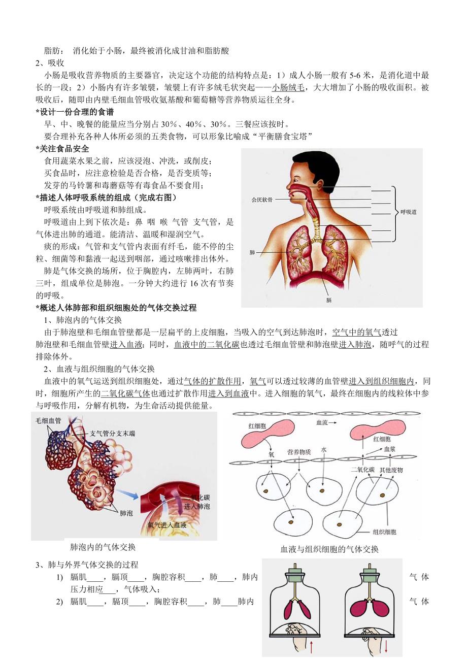 七年级生物下册-复习资料整理-人教版.doc_第3页