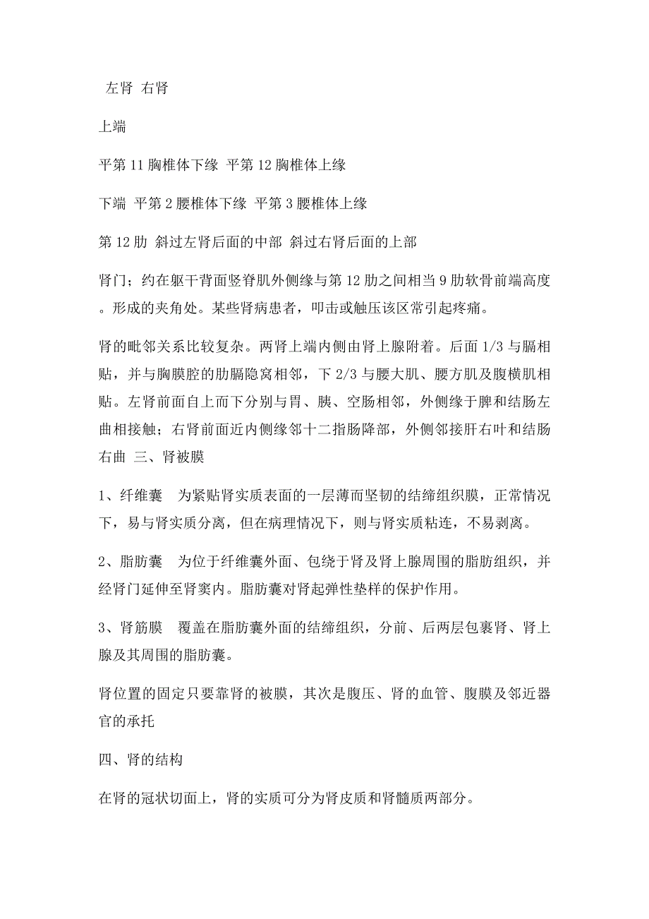 医学笔记人体解剖学之泌尿系统_第2页