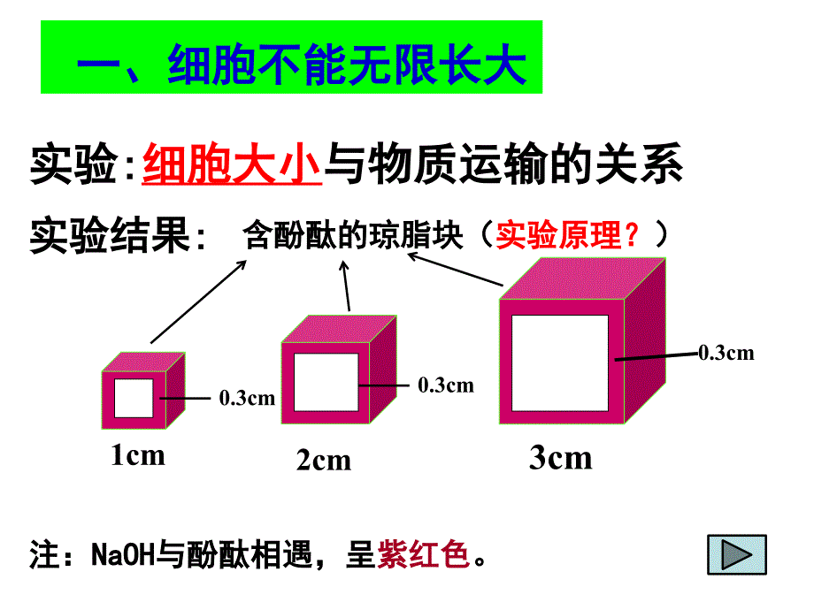 61细胞增殖有丝分裂PPT文档资料_第4页