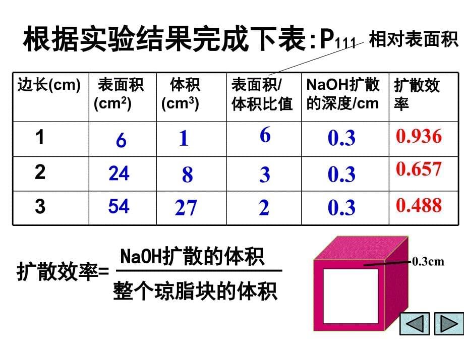 61细胞增殖有丝分裂PPT文档资料_第5页