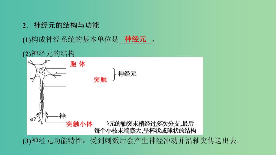 高中生物第2章动物生命活动的调节第2节神经系统的结构与功能一课件浙科版.ppt_第4页