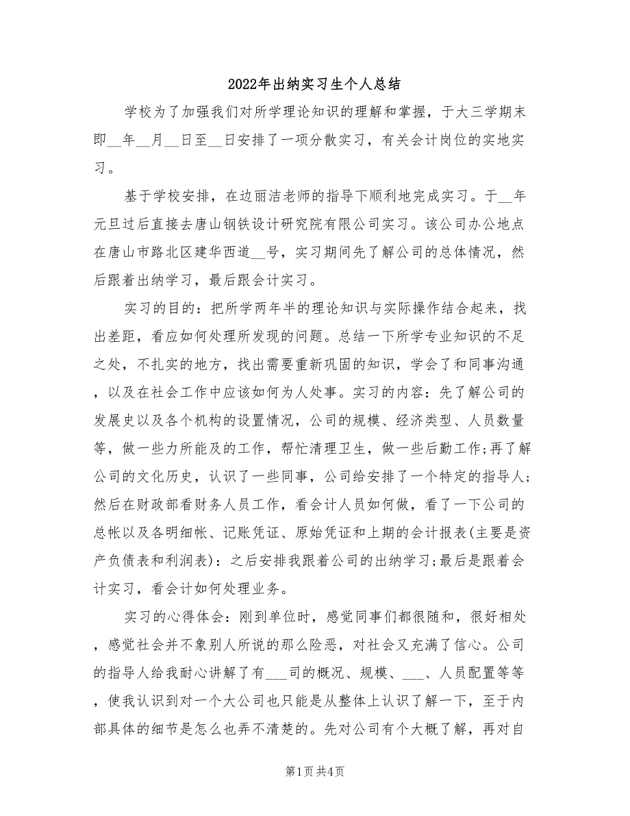 2022年出纳实习生个人总结_第1页