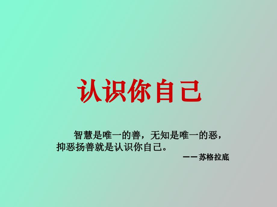 卓越领导执行力与领导艺术_第4页