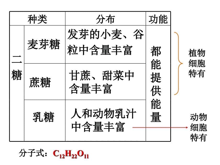 2.4细胞中的糖类和脂质课件龚洁[精选文档]_第5页