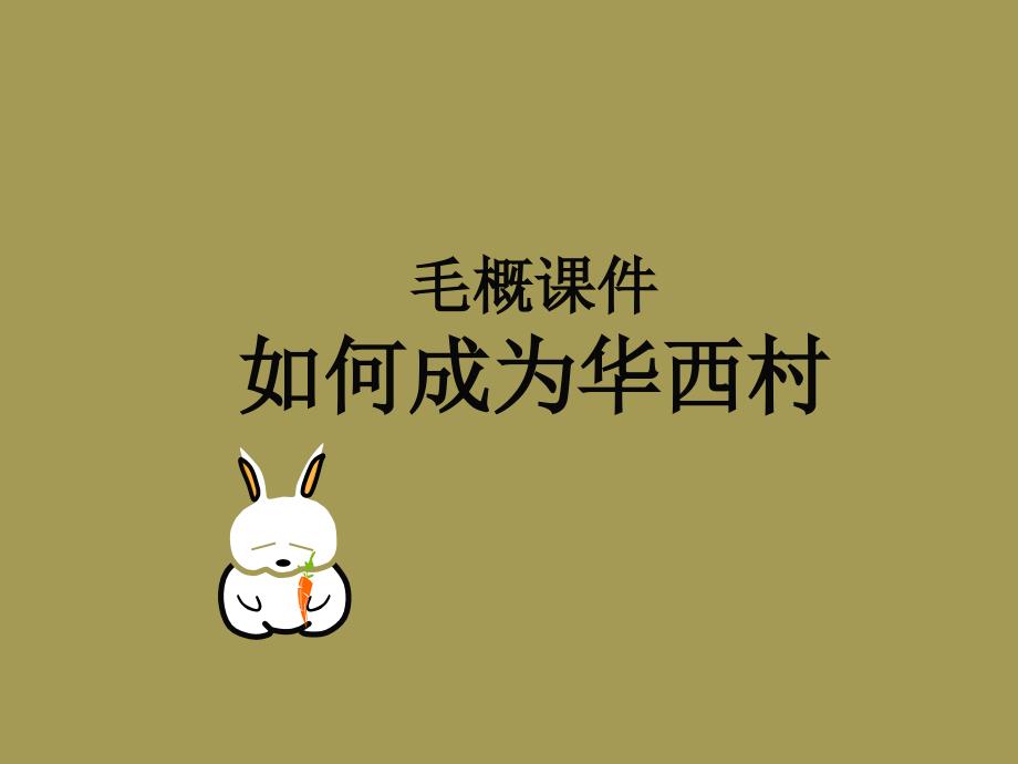 毛概课件之——华西村是怎样练成的.ppt_第1页