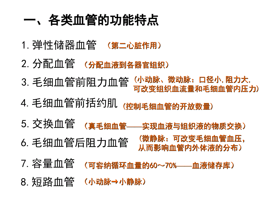 血管生理最新PPT课件_第3页