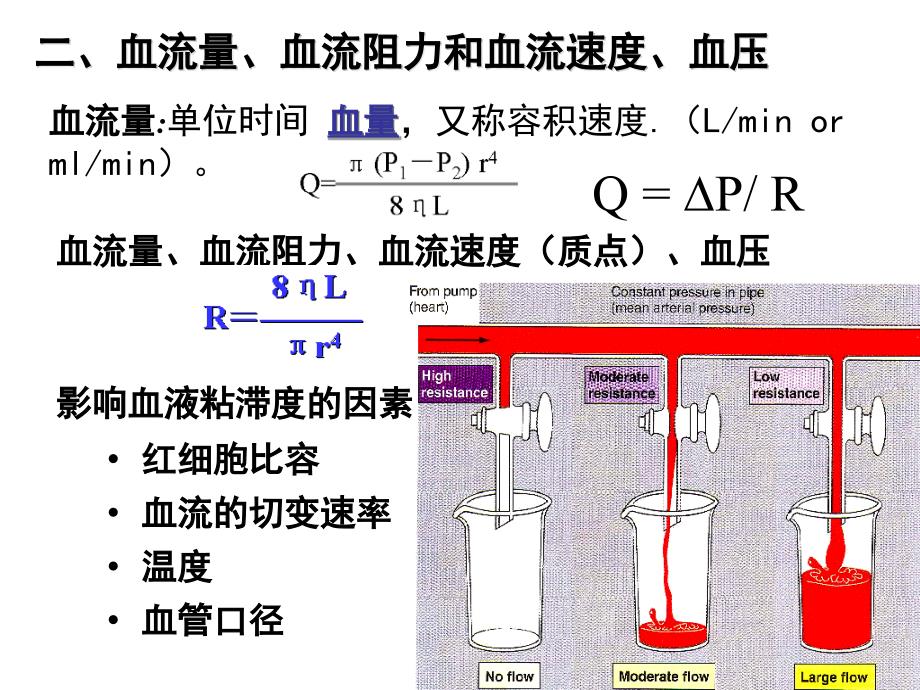 血管生理最新PPT课件_第4页