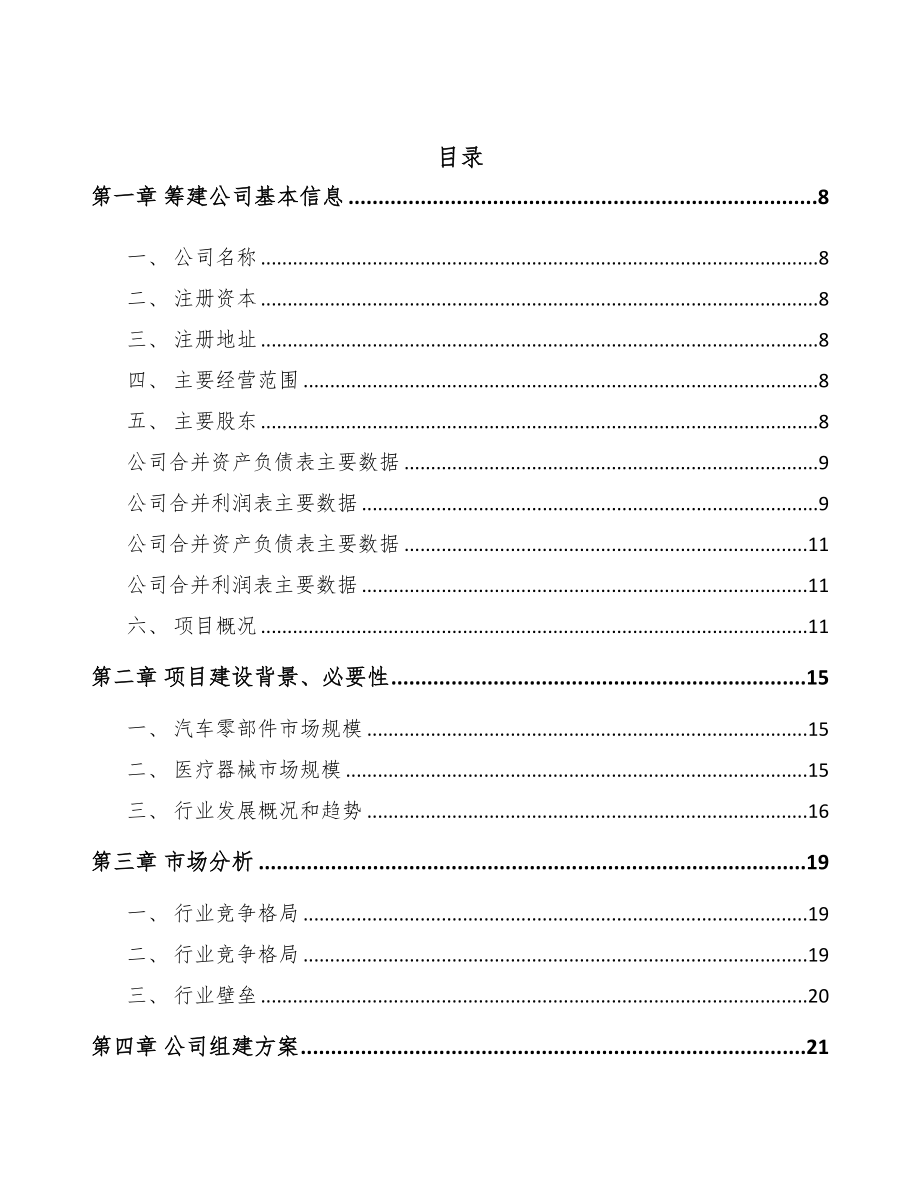 长沙关于成立气弹簧公司可行性研究报告(DOC 78页)_第2页