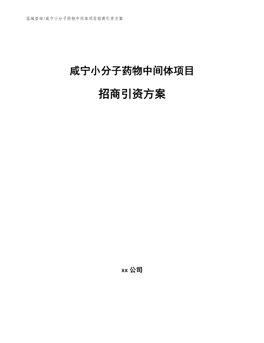 咸宁小分子药物中间体项目招商引资方案【模板范文】_第1页