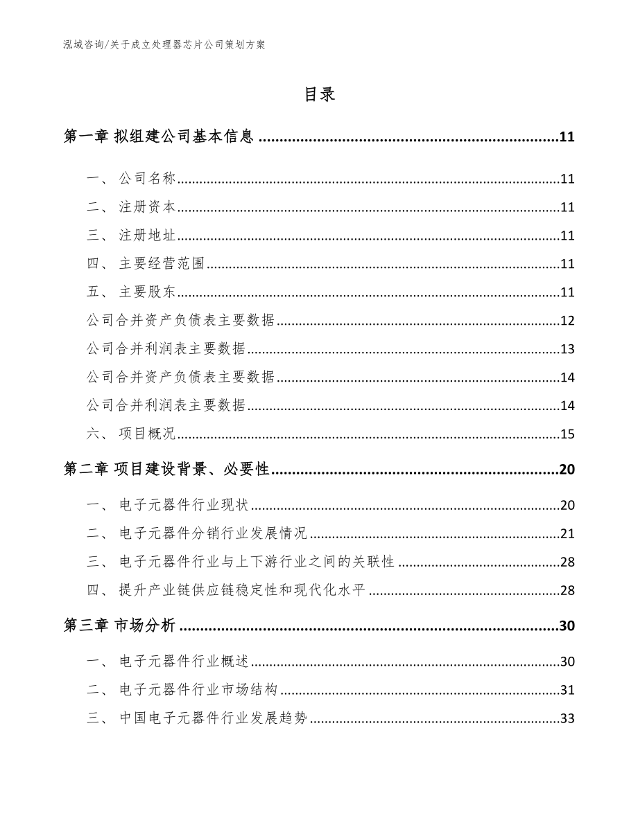 关于成立处理器芯片公司策划方案_第2页