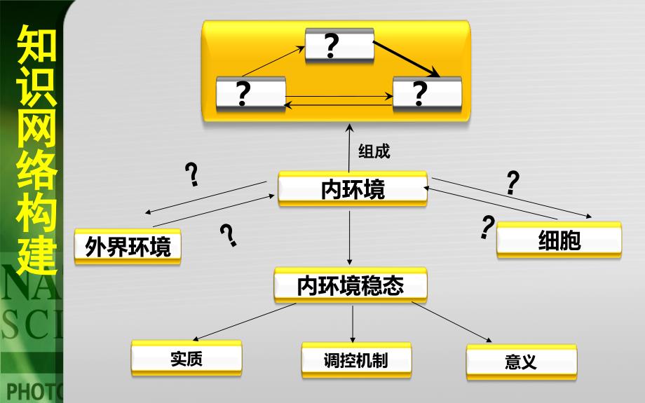 第一部分人体的内环境及稳态教学课件_第2页