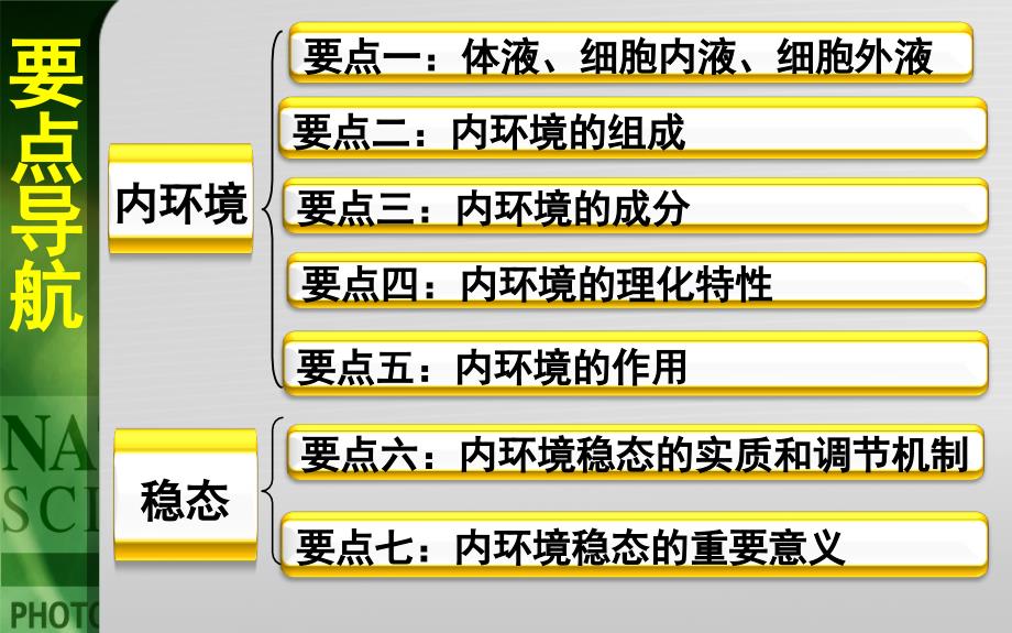 第一部分人体的内环境及稳态教学课件_第3页