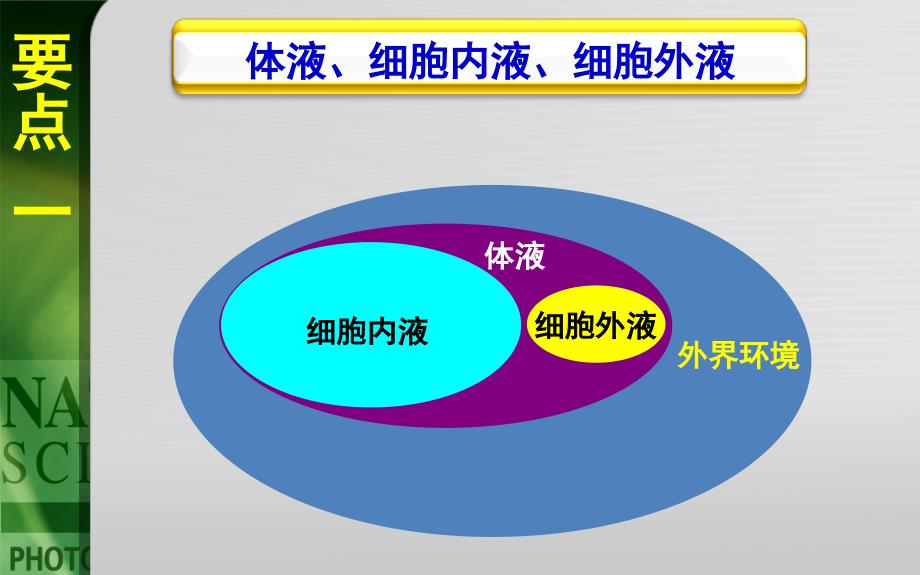 第一部分人体的内环境及稳态教学课件_第4页