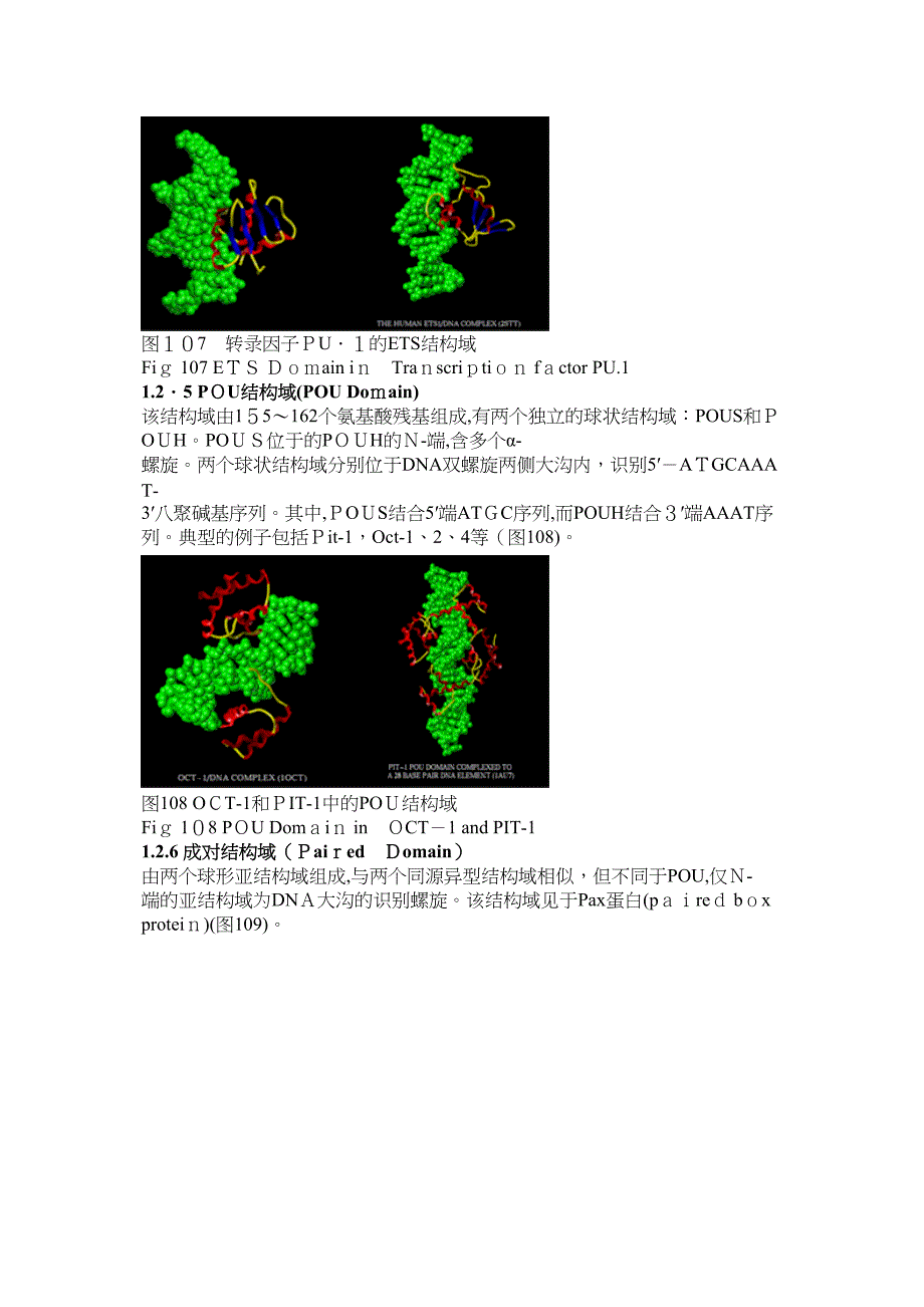 DNA与蛋白质相互作用的结构特征_第3页