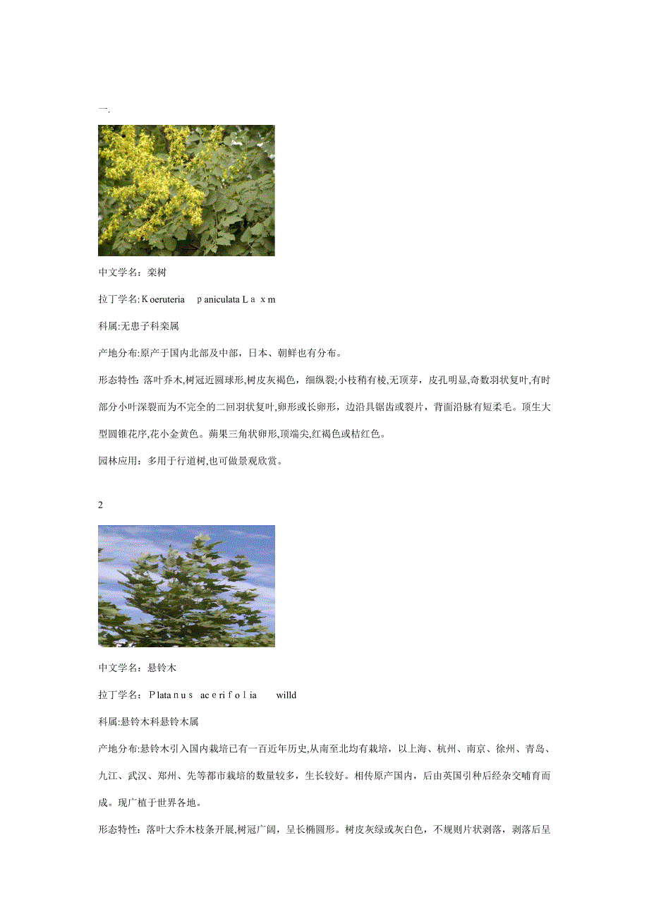 树木学180种树木_第1页