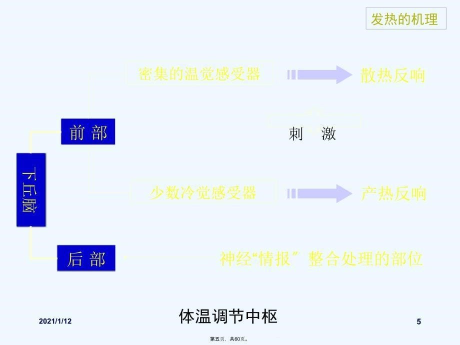 发热待查诊断思路汇总课件_第5页