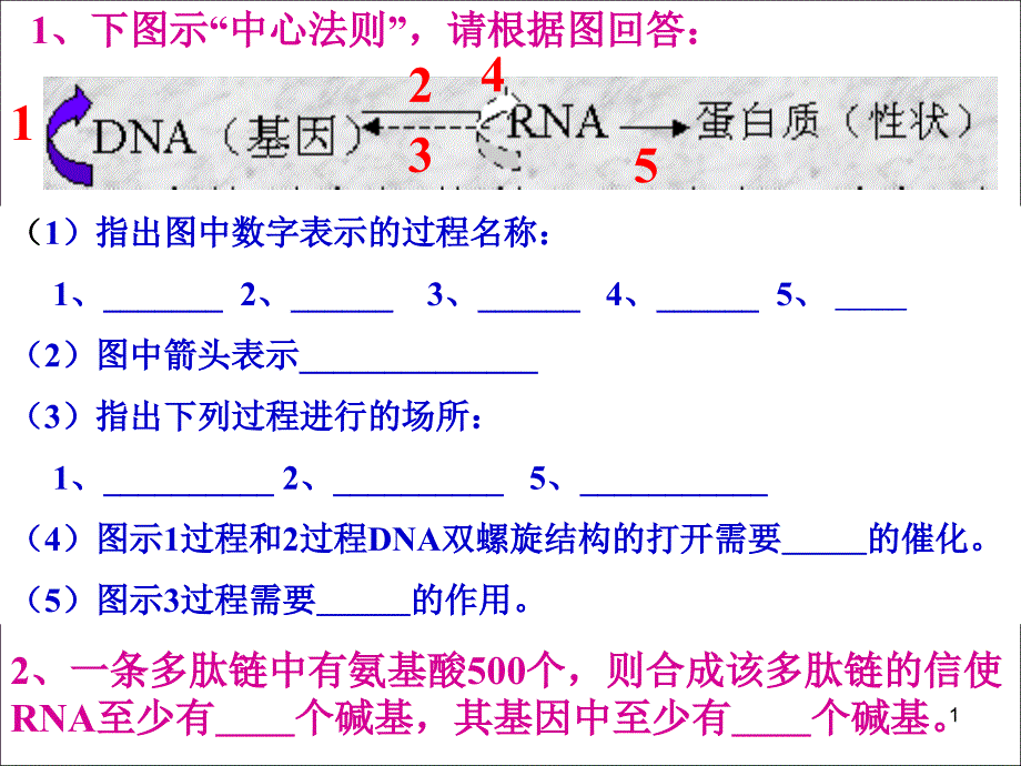 人教版教学课件基因突变与基因重组_第1页