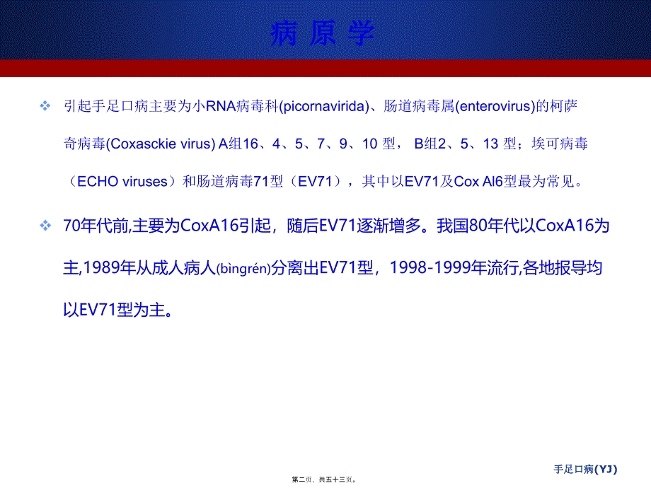 手足口病YJ课件_第2页