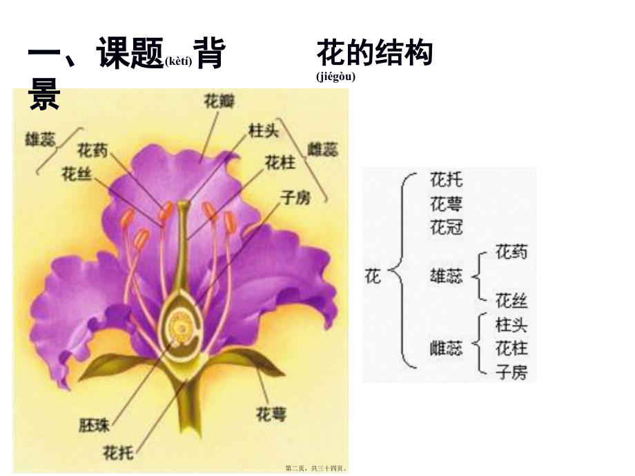 医学专题—月季的花药培养MicrosoftPowerPoint幻灯片_第2页