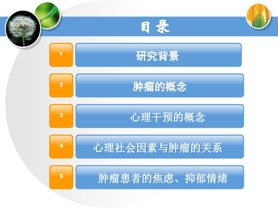 我国肿瘤患者焦虑抑郁情绪及其心理干预研究分析_第2页