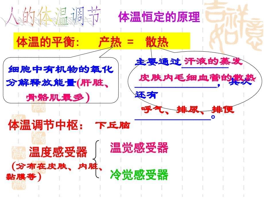 2.3神经调节与体液调节的关系课件陈晓明_第5页