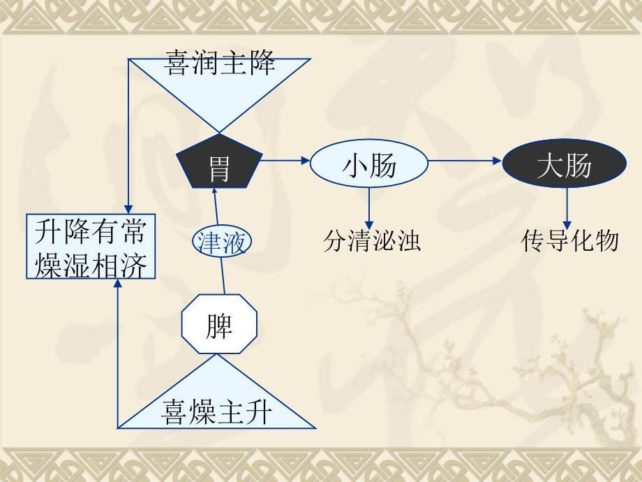 阳明病概论辩证纲要阳明病热证_第5页