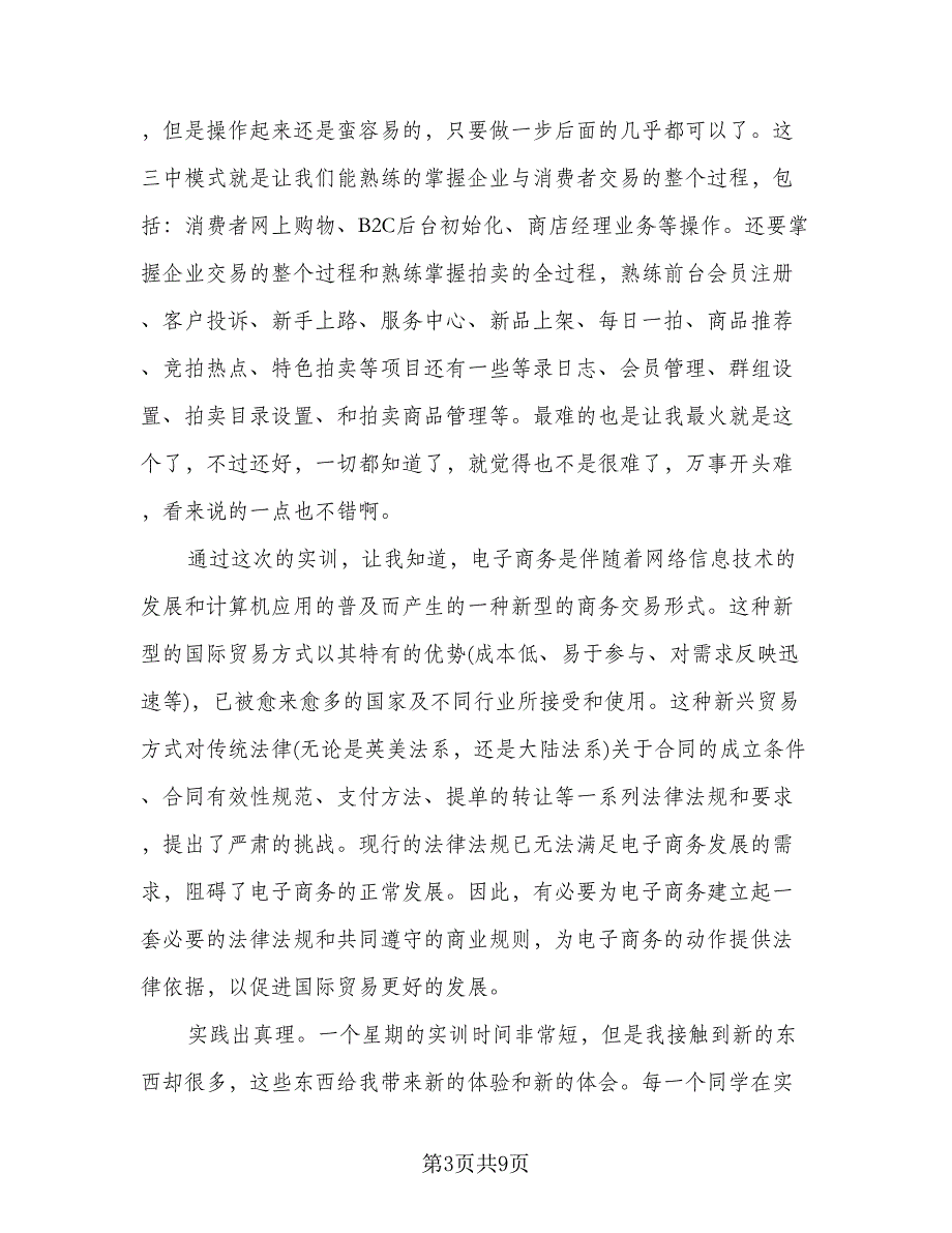 电子商务个人实训总结格式范本（二篇）.doc_第3页