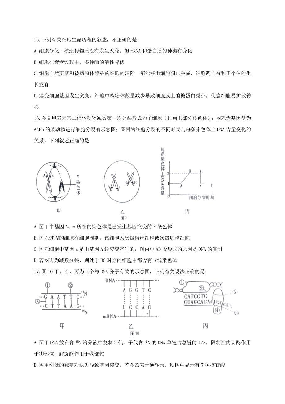 高三生物上学期期末考试试题（重点班）_第5页