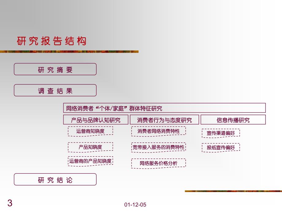 宽带接入个人目标消费群研究报告_第3页