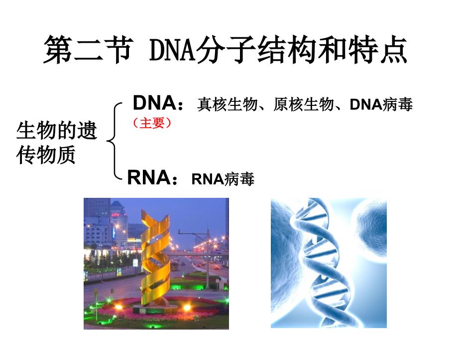 第二节DNA分子结构和特点_第1页