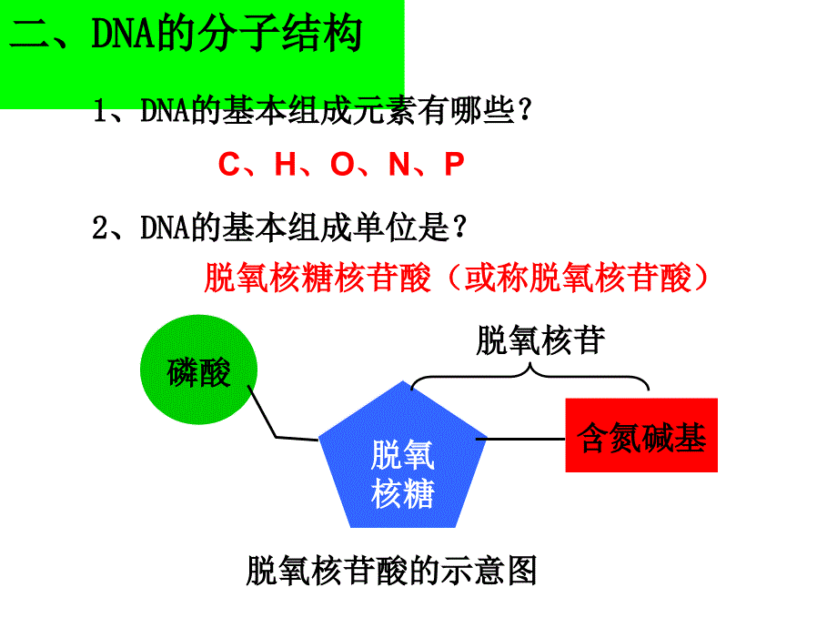 第二节DNA分子结构和特点_第4页