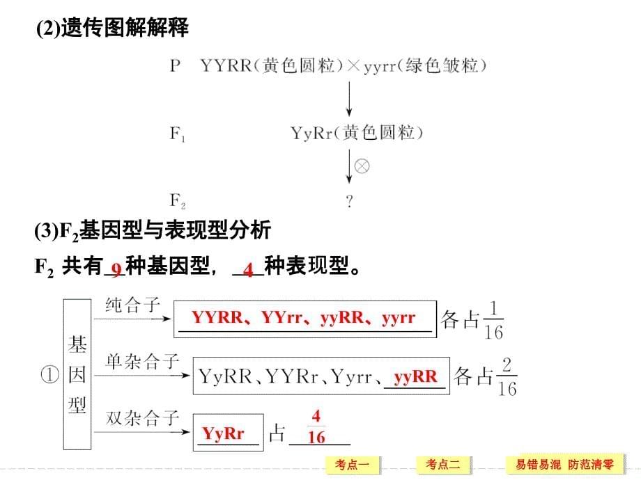 创新设计】2017版高考生物（江苏专用）一轮复习课件：第5单元 遗传的基本规律 第15讲_第5页