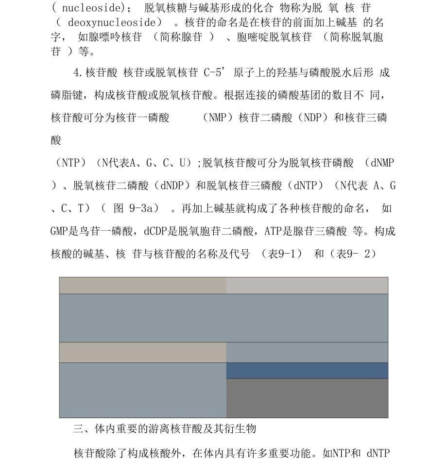 核酸的分子组成_第5页