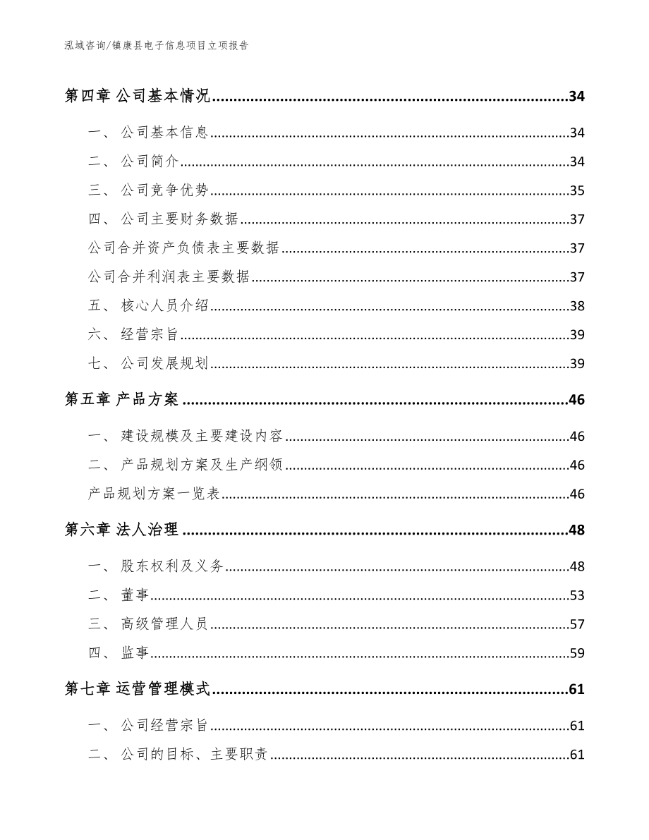 镇康县电子信息项目立项报告_第2页