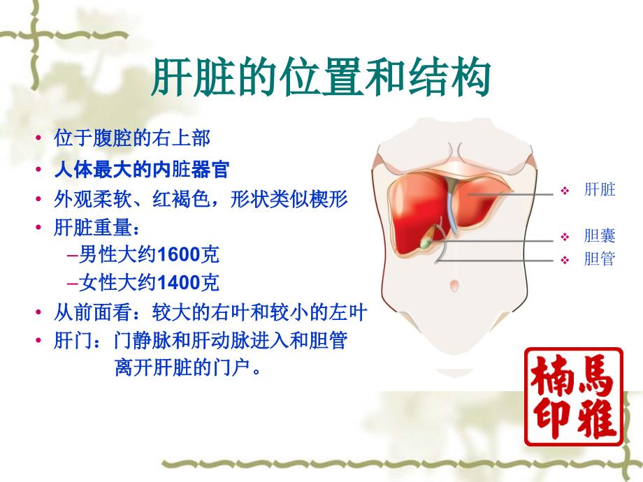 常见肝病用药指导课件.ppt_第3页