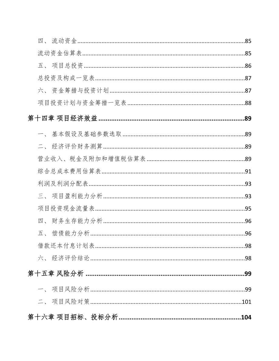 昭通电动机项目可行性研究报告_第5页