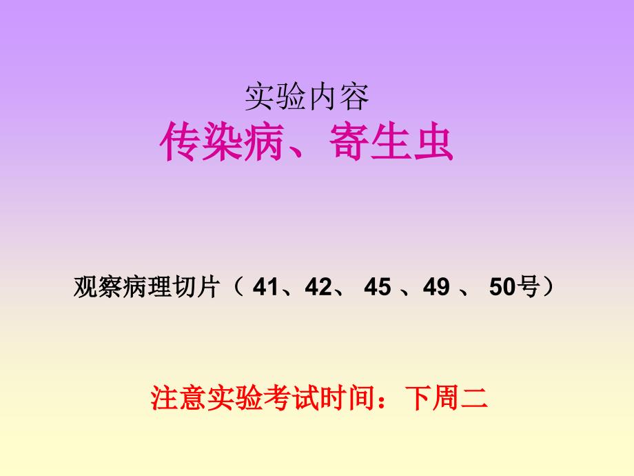 病理学实验课件：传染病、寄生虫_第1页