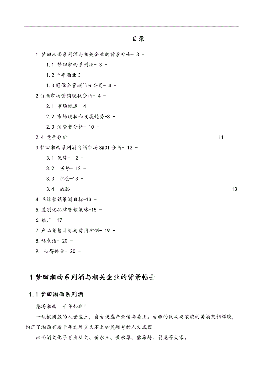 梦回湘西系列酒网络营销项目策划书_第3页