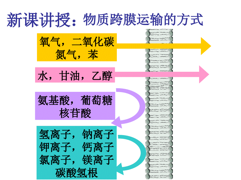 高一生物第四章第3节《物质跨膜运输的方式》PPT课件(1)_第3页