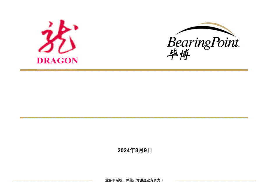 某股份有限公司管控模式项目中期报告_第1页