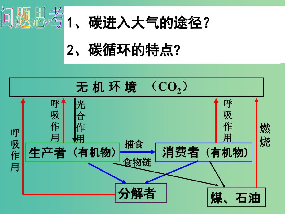 高中生物 稳态与环境 5.3生态系统的物质循环课件 新人教版必修3.ppt_第4页