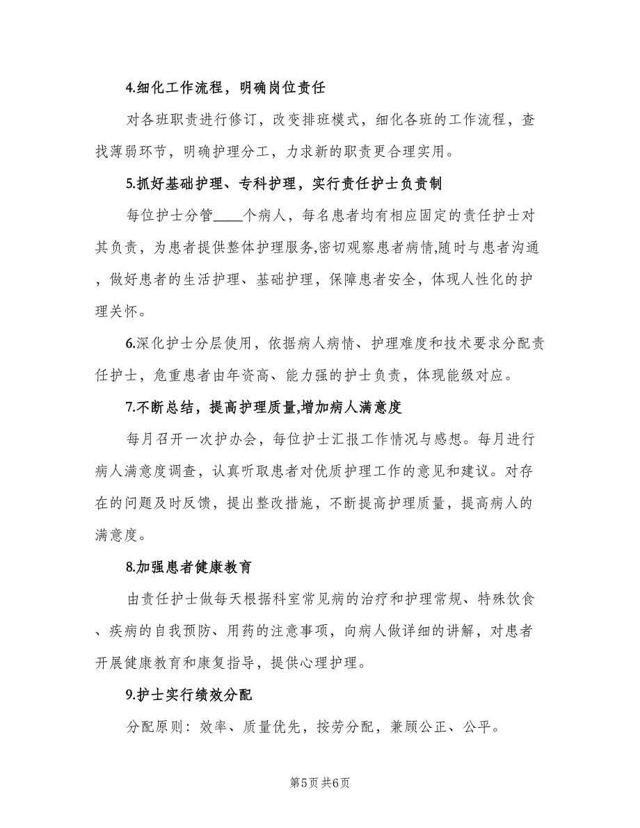 2023优质护理工作计划范文（二篇）.doc_第5页