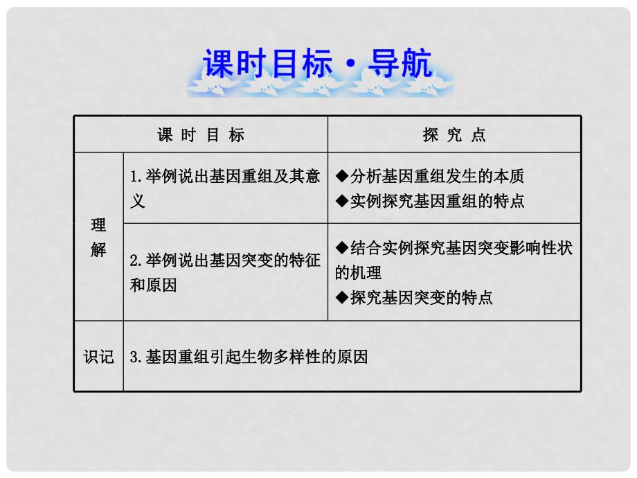 高中生物 4.1.1基因重组基因突变课件 浙科版必修2_第4页