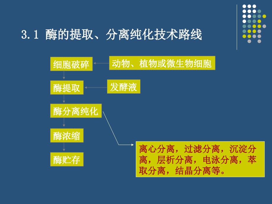 酶的分离提纯分析课件_第4页