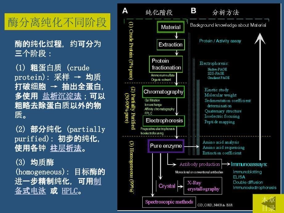 酶的分离提纯分析课件_第5页